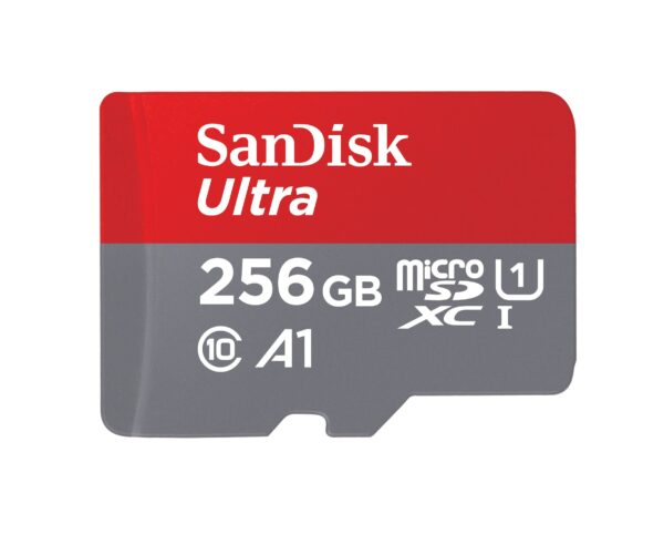 San disk 256 GB